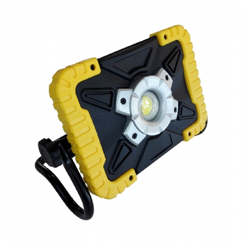 YRAL-20W