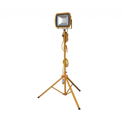 LED60WPTO